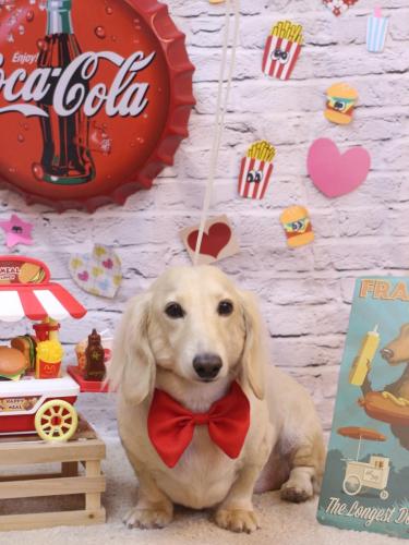 20230926シオンくん